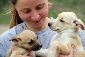 SITE_FFHI_animal-foto13