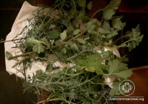 SITE_FFHI_2016-01-30_mutirao-arte-educacao_06