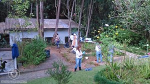 nucleo_luz_sp_amor_ervas1