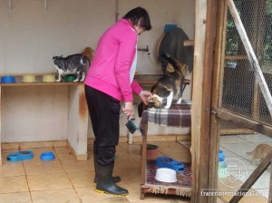 Encontro Rede-Luz Minas Gerais na Figueira_03