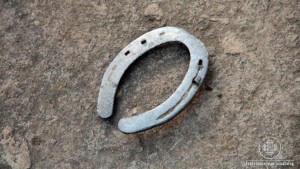 cavalos_comunidade_nova_terra_4