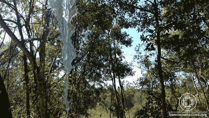 agua-vegetal-ceu