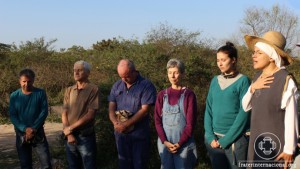 caes_canil_campinas_mutirao_1_rede_luz_julho_2016_grupo