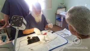 casa-esperanca-castracao-07-09-2016_02