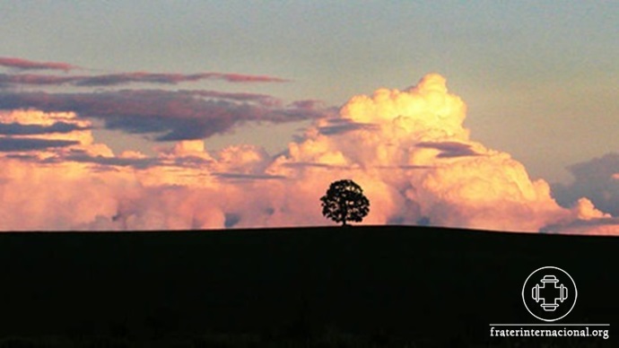 arbore_nuvens
