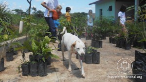 encontro-arvores-iii-plantio-terras-irmandade-07