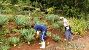 casa-luz-colina-dia-mutiroes-07