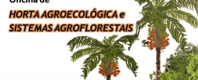 Oficina de Agrofloresta