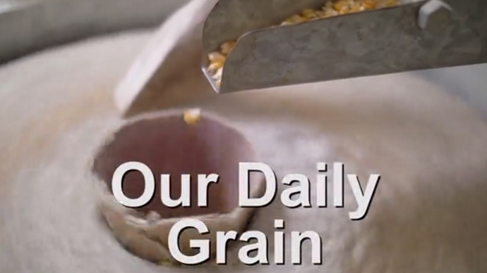 Our Daily Grain