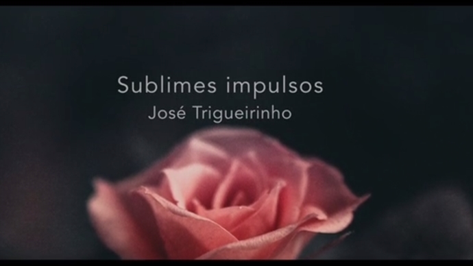 Partilha Trigueirinho - Sublimes Impulsos