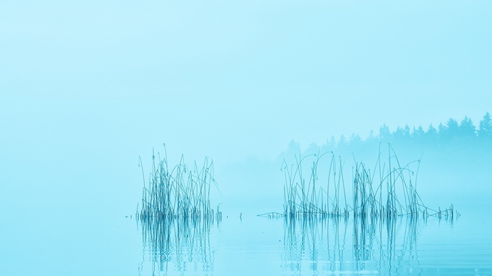 Silêncio névoa azul