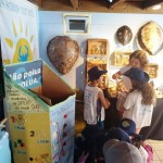 Excursão científica em Santa Catarina