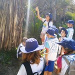 Excursão científica em Santa Catarina