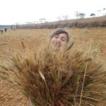 Escola Parque Tibetano