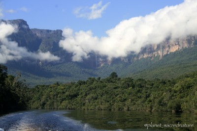 Dia da Botânica