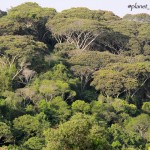 @planet_sacrednature