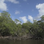 @planet_sacrednature