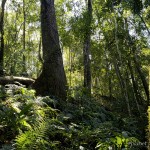 @planet_sacrednature