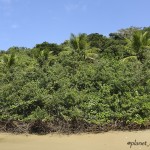 @planet_sacrednature