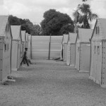 O poder transformador das pequenas ações