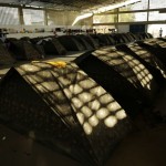 O poder transformador das pequenas ações