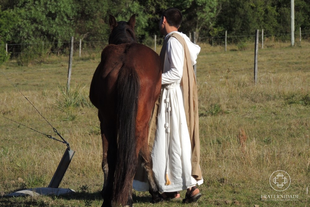 Os cavalos Vitório e Aleluya: história de fé e esperança