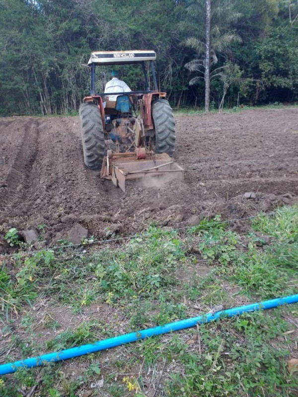 Núcleo-Luz em Brasília inicia hortas orgânicas