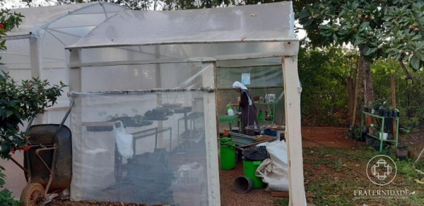 Núcleo-Luz em Brasília inicia hortas orgânicas
