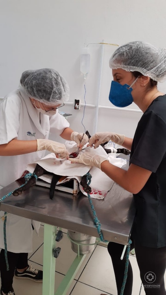 Parceria Parque Francisco de Assis e Unilavras - UFLA