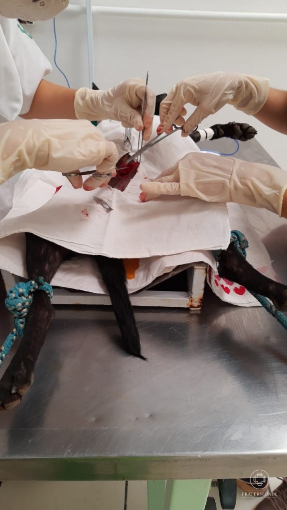 Parceria Parque Francisco de Assis e Unilavras - UFLA