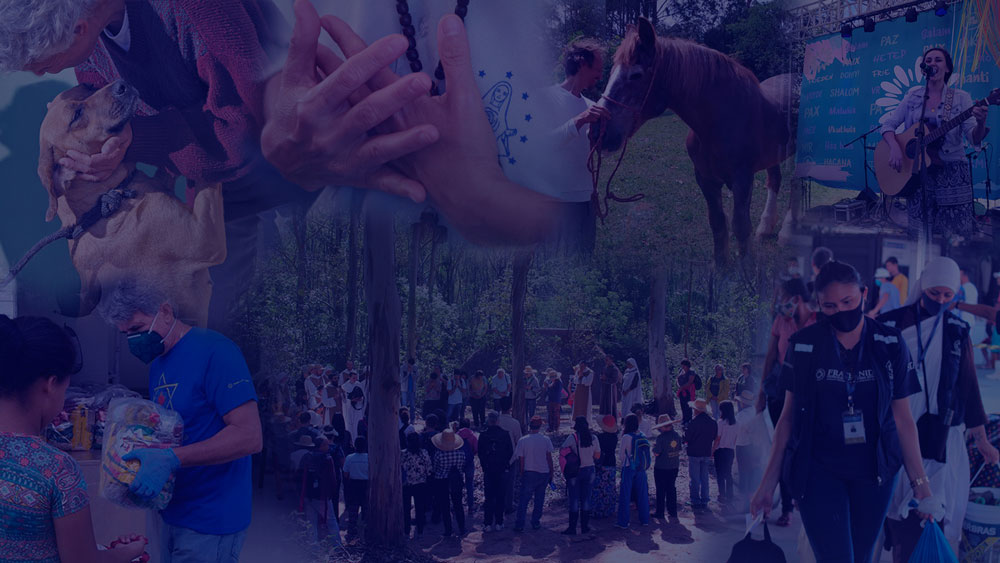 Fraternidade – Humanitária (FFHI) relança o seu Portal