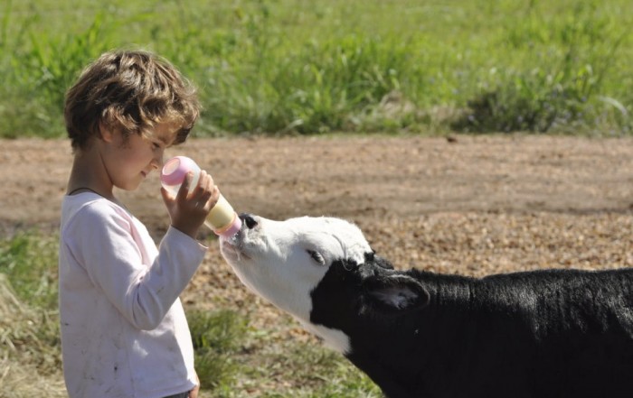 Cuidado com os Animais na Comunidade-Luz Fraternidade Aurora
