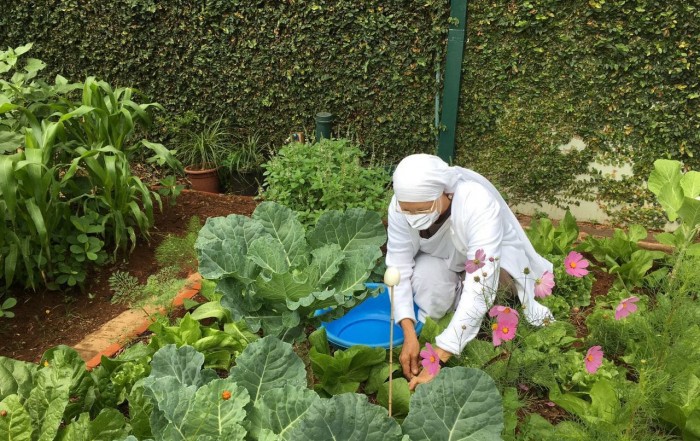 Combate ao Desperdício de Alimentos