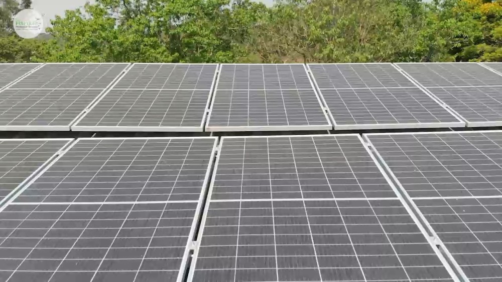 Instalação de placas fotovoltaicas no Parque Francisco de Assis