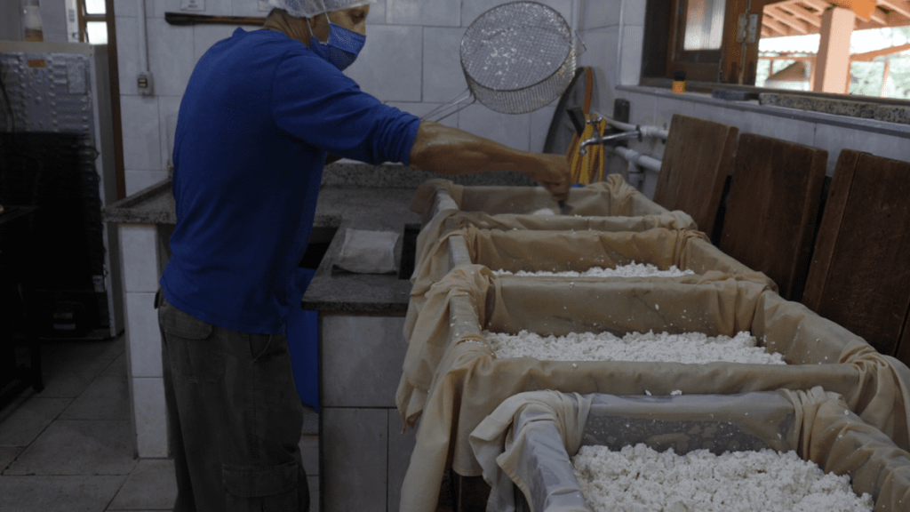 Producción de tofu y leche de soja