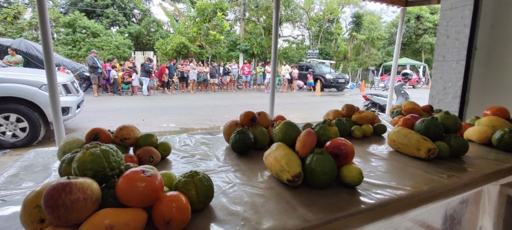 Entrega de alimentos - Acciones Fraternas de la Red-Luz Guarujá